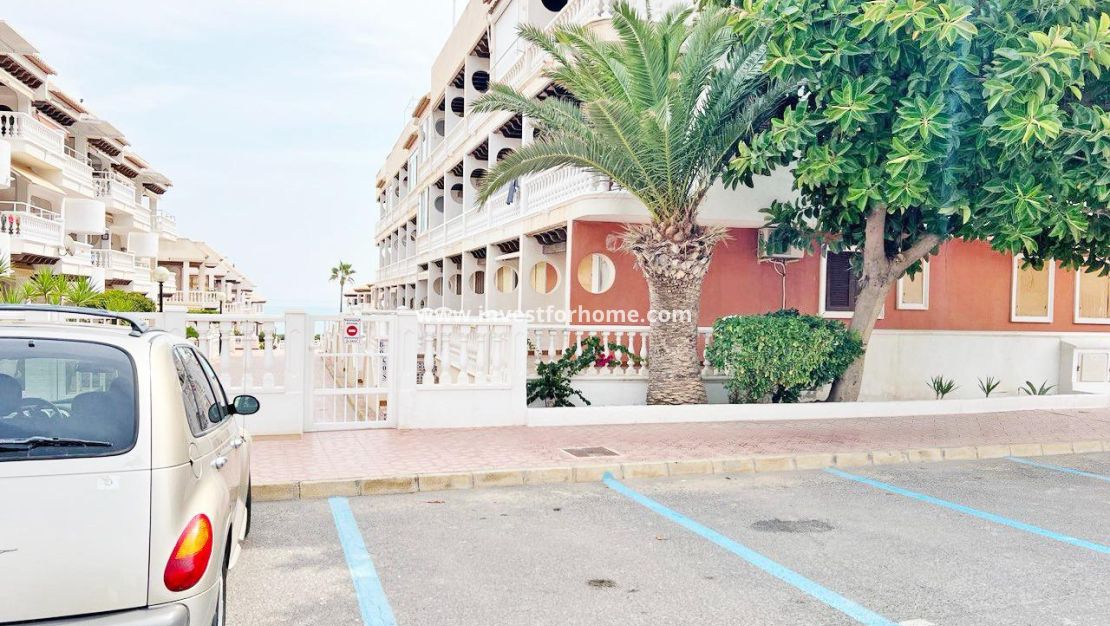 Reventa - Casa - Guardamar del Segura - Benamor