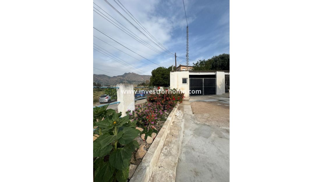 Reventa - Casa - Orihuela Costa - Orihuela Ciudad