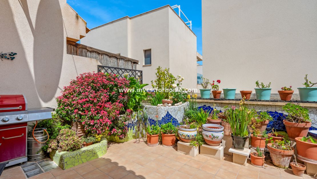 Reventa - Casa - San Miguel de Salinas - Inland