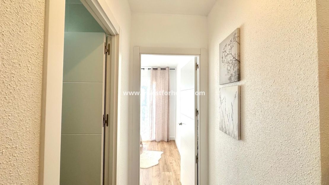 Reventa - Casa - Torrevieja - Estacion De Autobuses