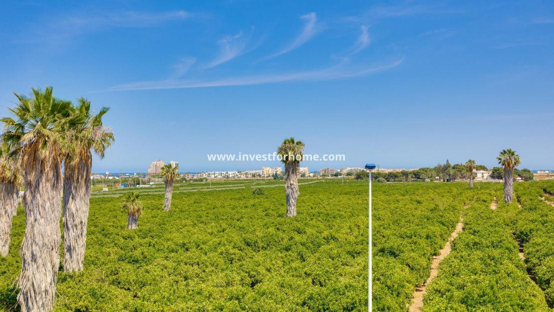 Reventa - Casa - Torrevieja - La Siesta-El Chaparral
