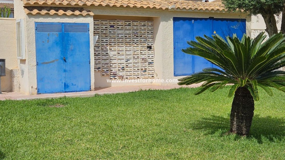 Reventa - Casa - Torrevieja - Los Balcones - Los Altos Del Edén