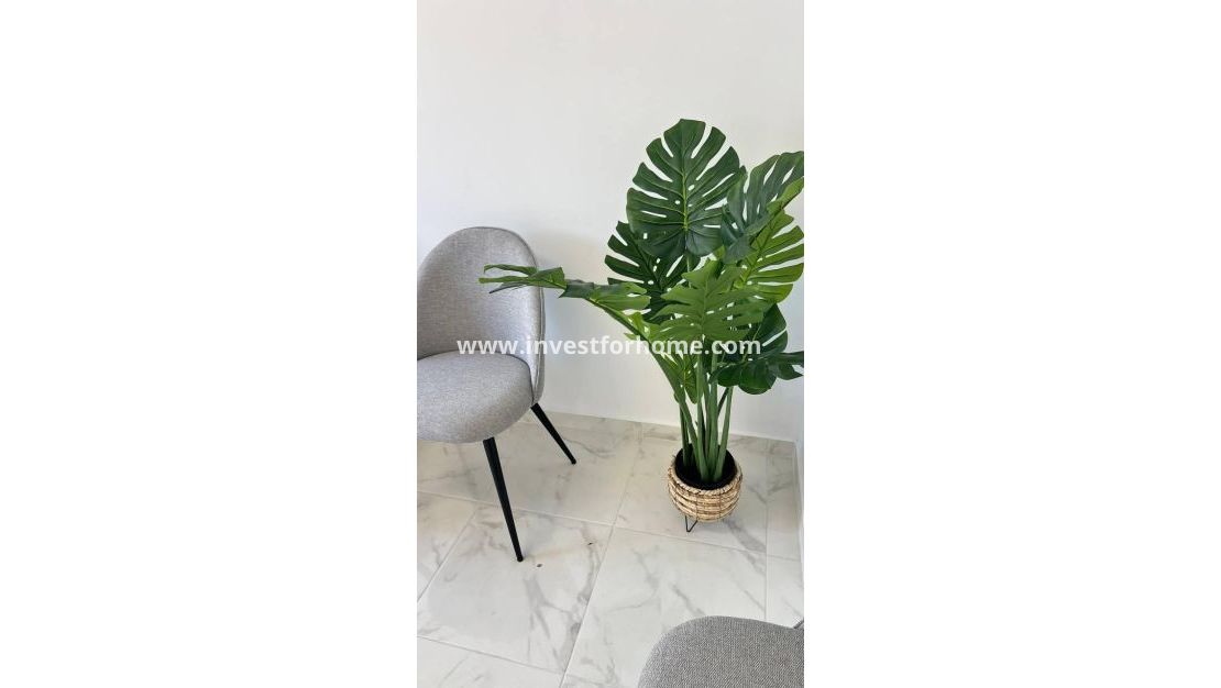 Reventa - Casa - Torrevieja - Los Balcones - Los Altos Del Edén