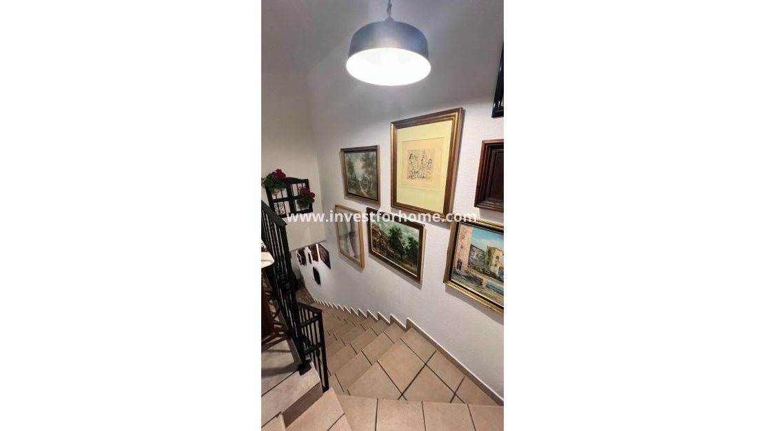 Reventa - Casa - Torrevieja - Los Balcones - Los Altos Del Edén