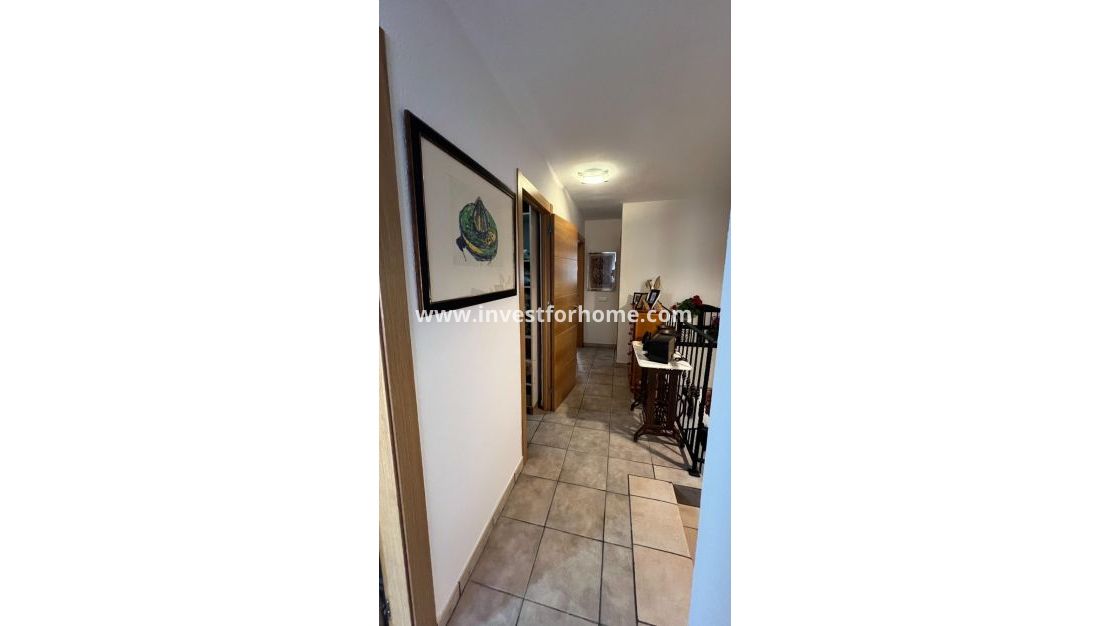 Reventa - Casa - Torrevieja - Los Balcones - Los Altos Del Edén
