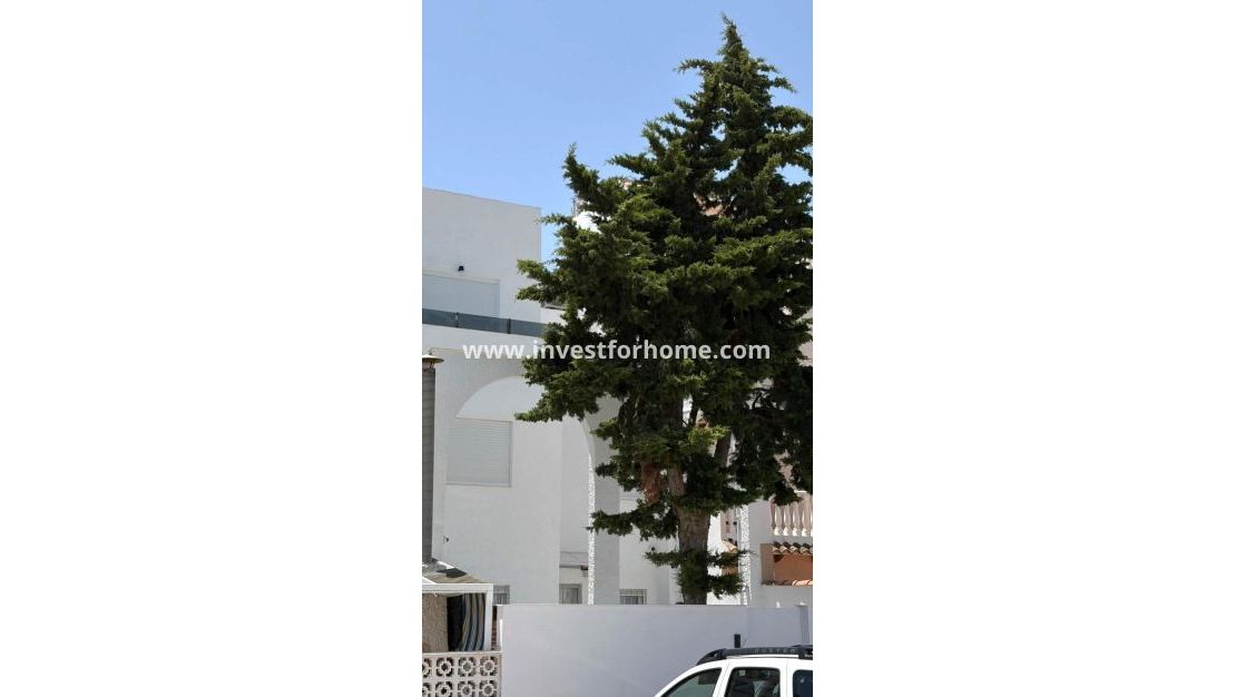 Reventa - Casa - Torrevieja - Playa de los Locos