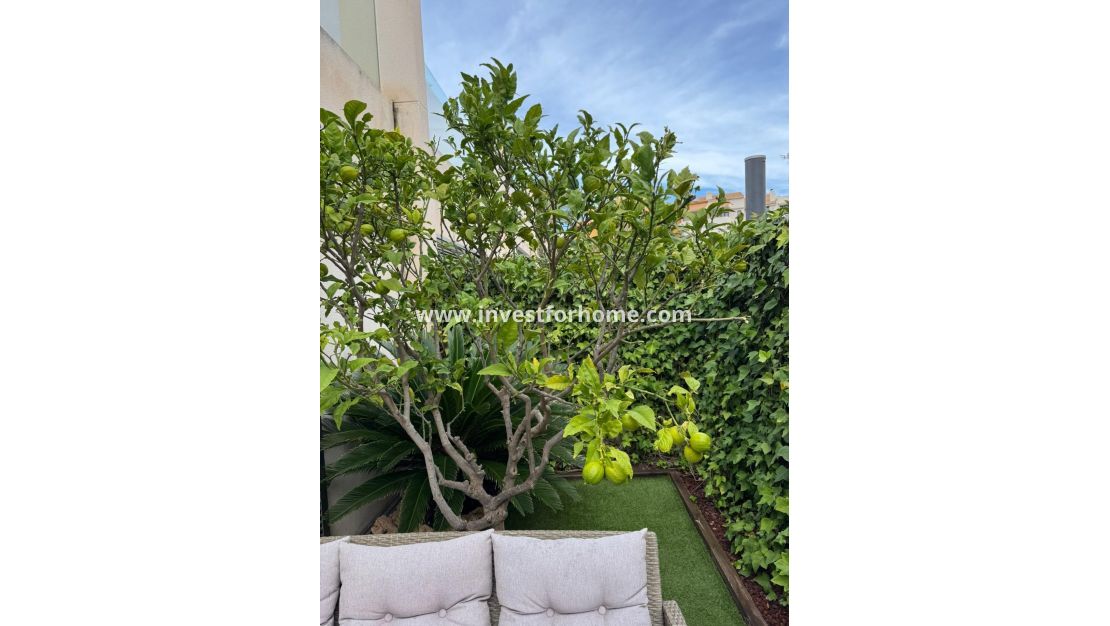 Reventa - Casa - Torrevieja - Punta prima