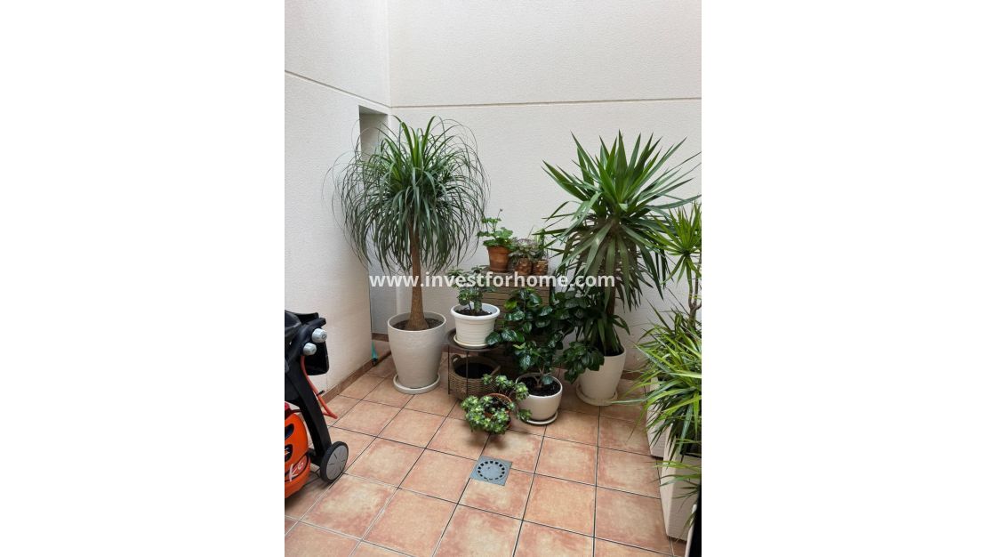 Reventa - Casa - Torrevieja - Punta prima