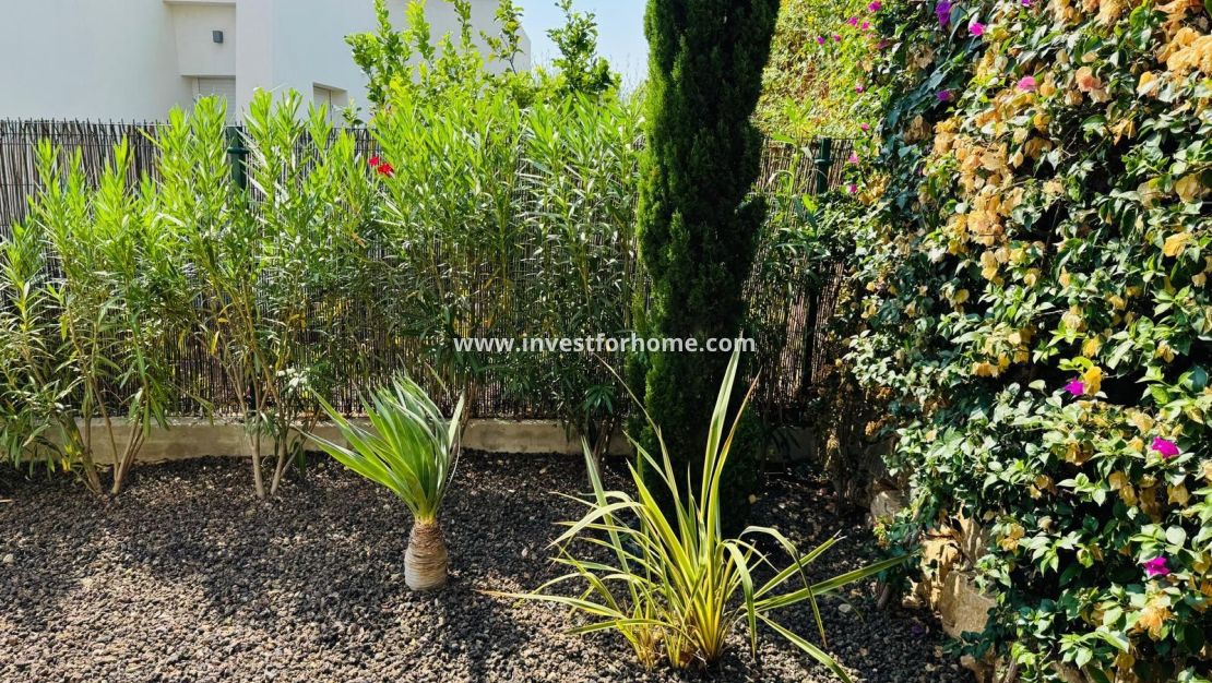 Reventa - Chalet - Algorfa - Club De Golf La Finca