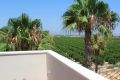 Reventa - Chalet - Algorfa - Inland