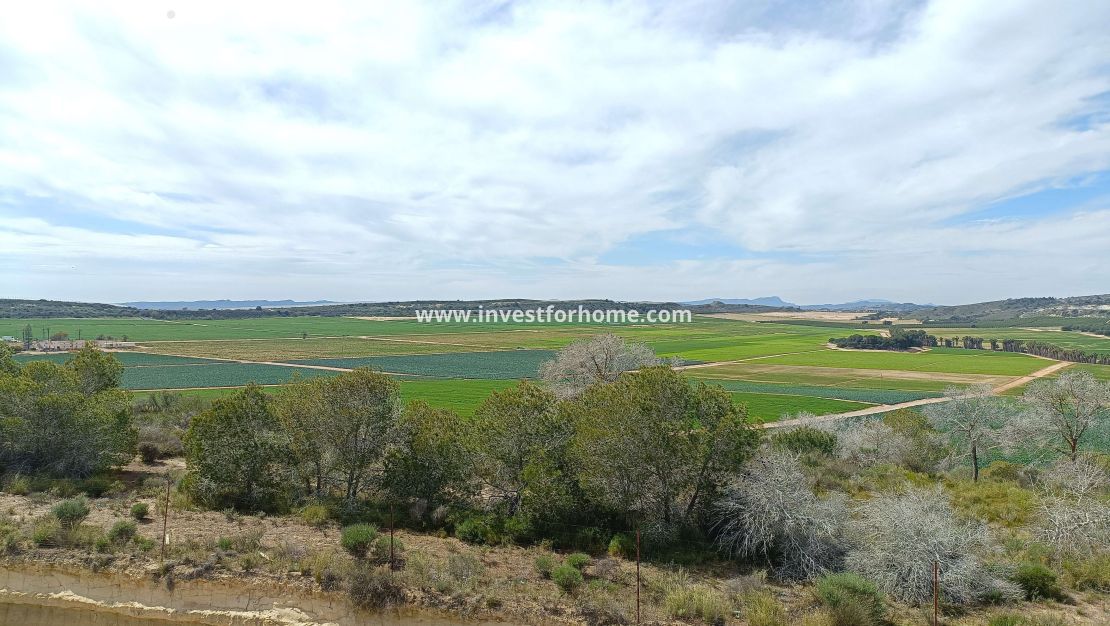 Reventa - Chalet - Algorfa - Inland