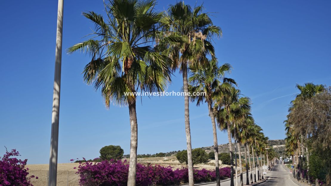 Reventa - Chalet - Algorfa - Inland