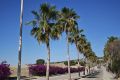Reventa - Chalet - Algorfa - Inland