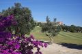 Reventa - Chalet - Algorfa - Inland