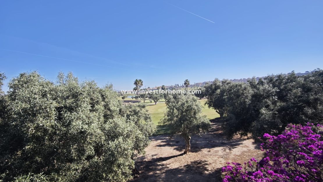 Reventa - Chalet - Algorfa - Inland
