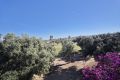 Reventa - Chalet - Algorfa - Inland