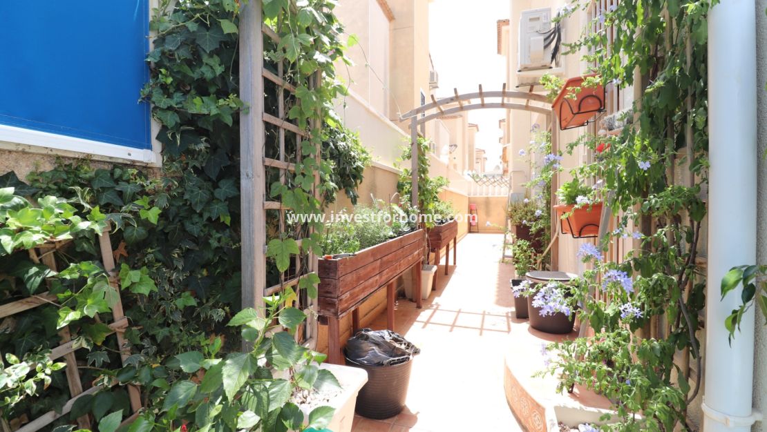 Reventa - Chalet - Algorfa - Montebello