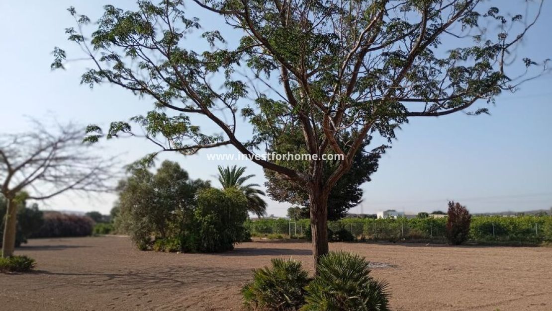 Reventa - Chalet - Daya Nueva - Costa Blanca