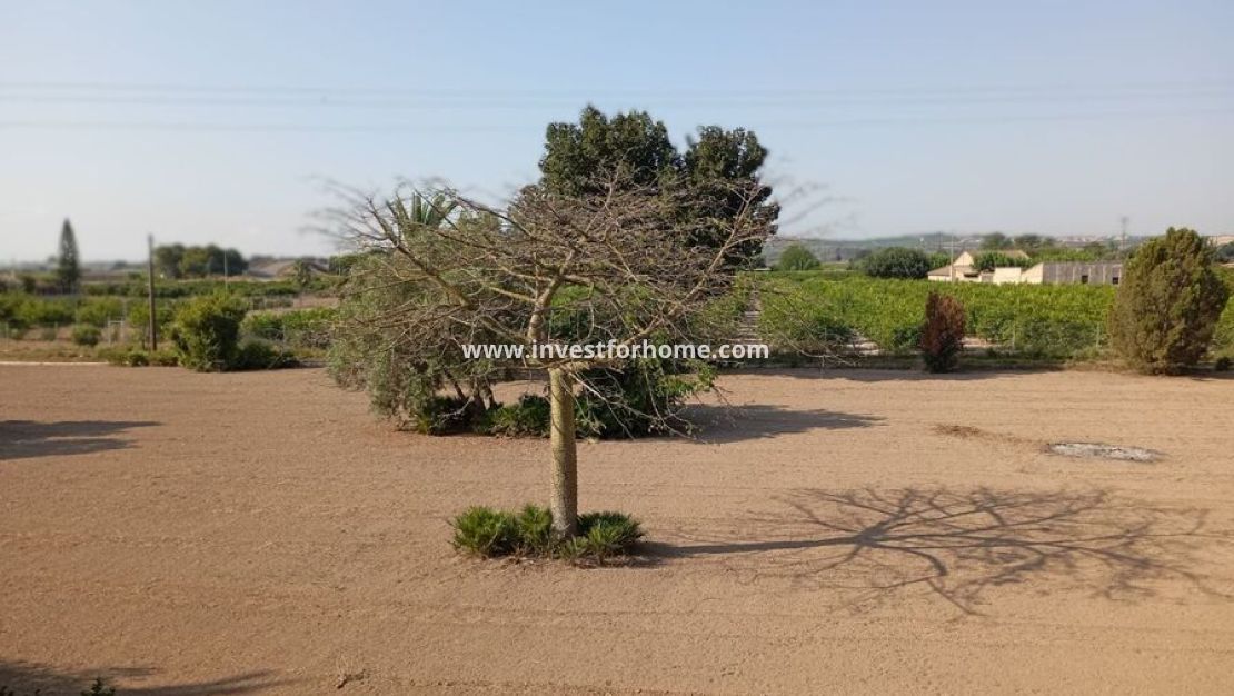 Reventa - Chalet - Daya Nueva - Costa Blanca