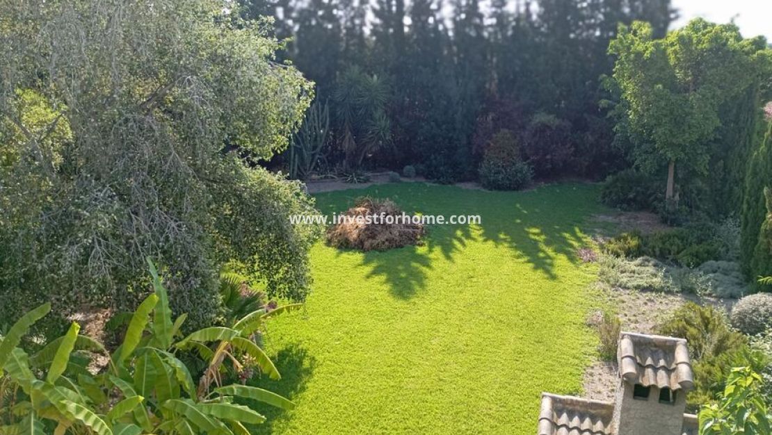 Reventa - Chalet - Daya Nueva - Costa Blanca