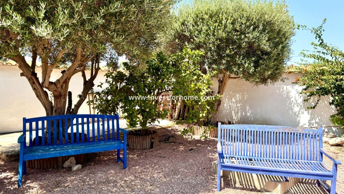 Reventa - Chalet - Dolores - Comunidad Valenciana