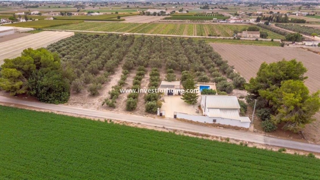 Reventa - Chalet - Dolores - Costa Blanca