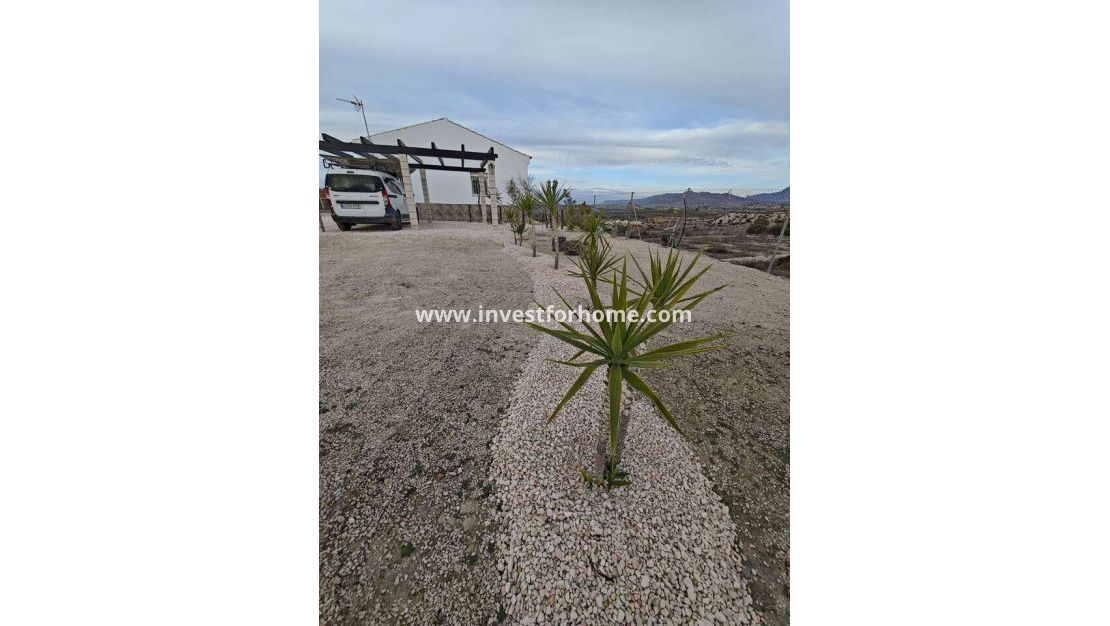 Reventa - Chalet - Fortuna - Inland