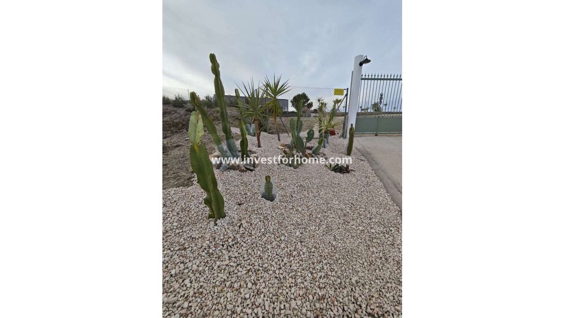 Reventa - Chalet - Fortuna - Inland