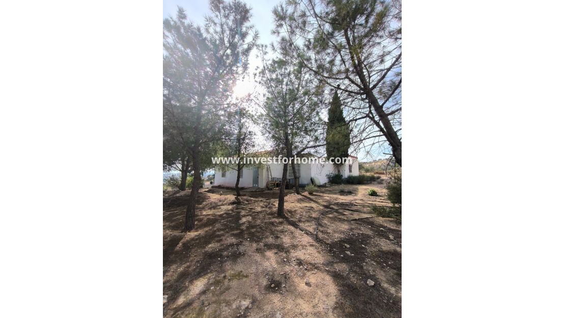 Reventa - Chalet - Fortuna - Inland