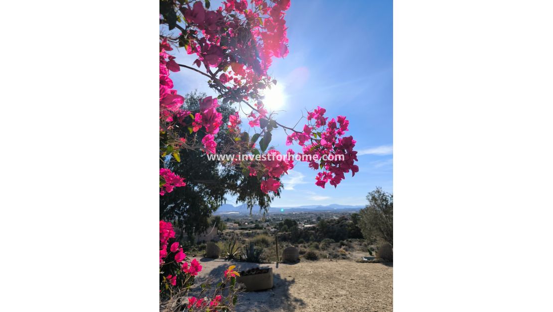 Reventa - Chalet - Fortuna - Inland