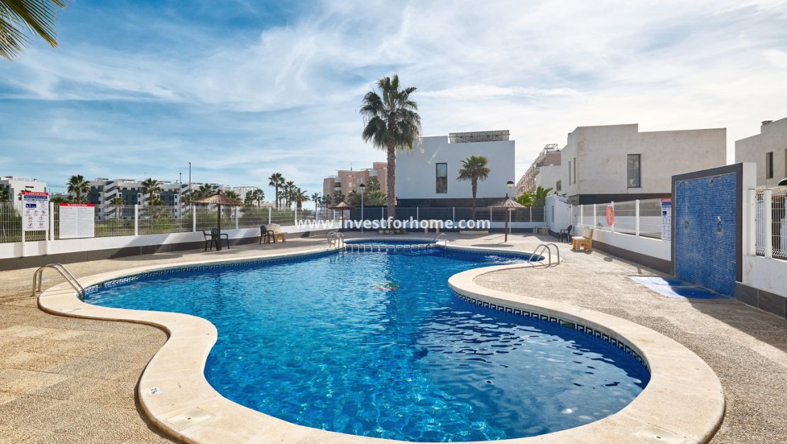 Reventa - Chalet - Guardamar del Segura - El Raso