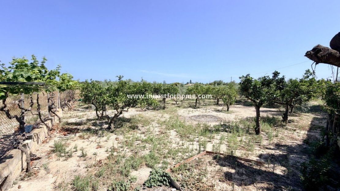 Reventa - Chalet - La Marina - Costa Blanca