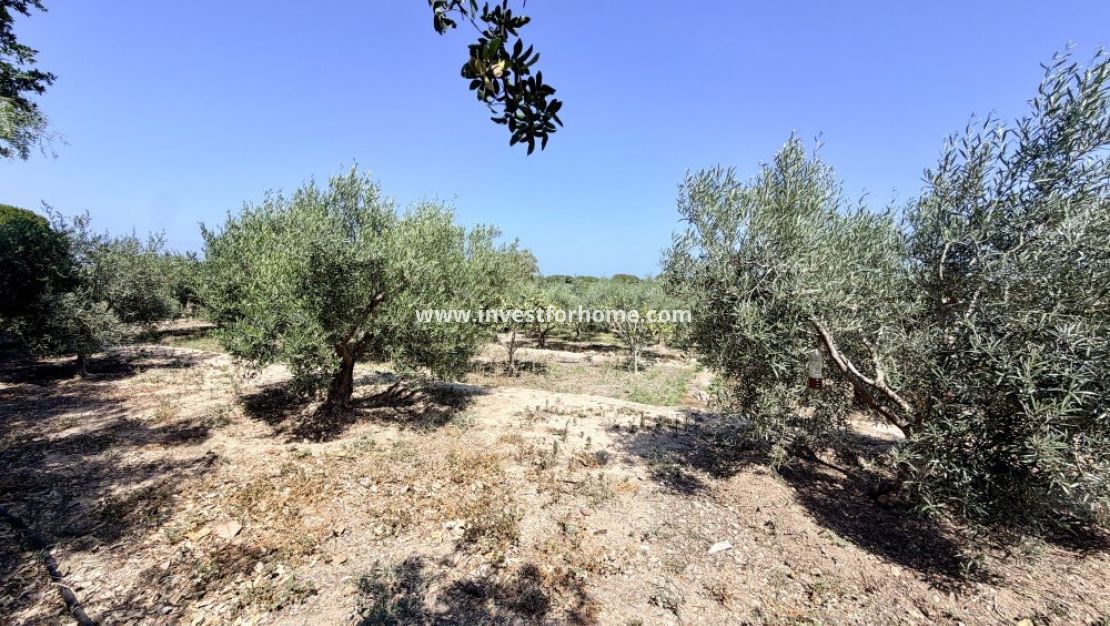 Reventa - Chalet - La Marina - Costa Blanca