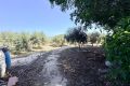 Reventa - Chalet - La Marina - Costa Blanca