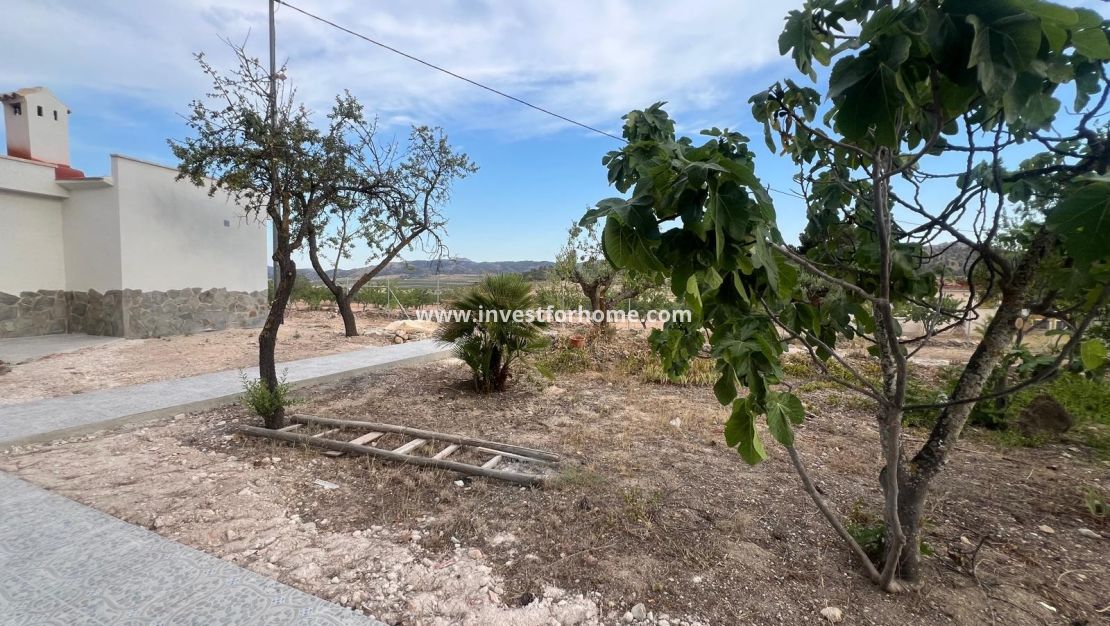 Reventa - Chalet - La Solana