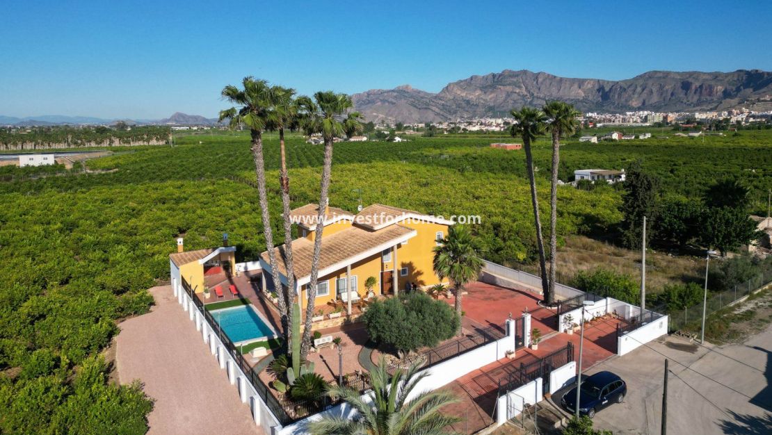 Reventa - Chalet - Orihuela Costa - Correntías Medias