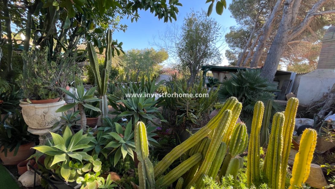 Reventa - Chalet - Orihuela Costa - Costa Blanca