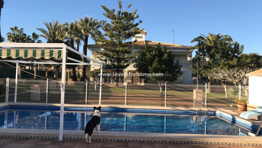 Reventa - Chalet - Orihuela Costa - Costa Blanca