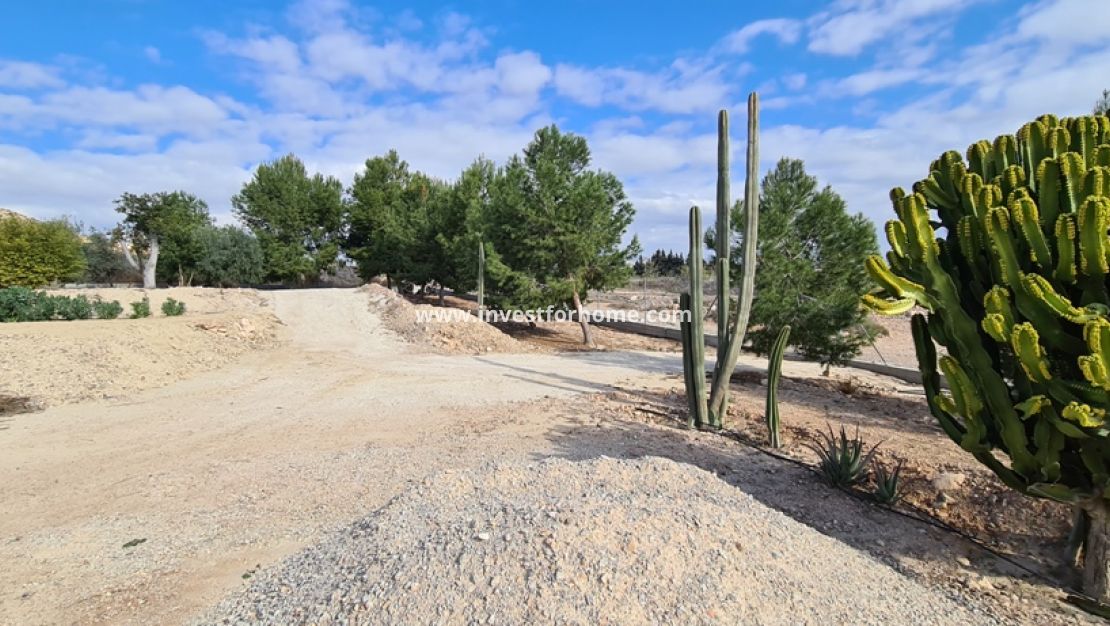 Reventa - Chalet - Orihuela Costa - Inland