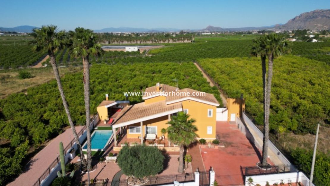 Reventa - Chalet - Orihuela Costa - Inland