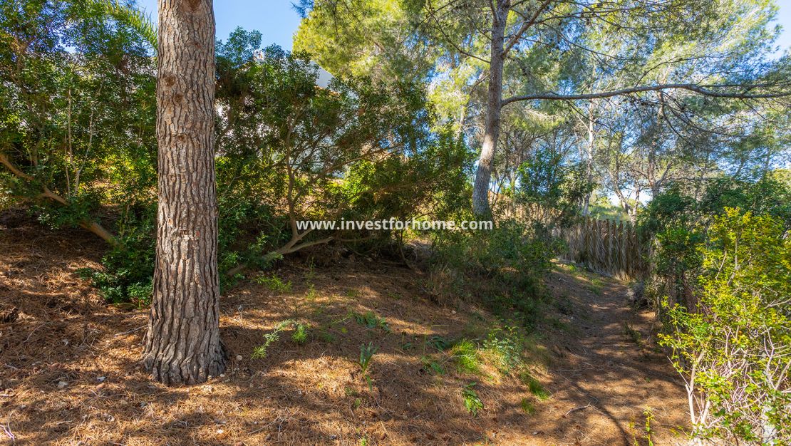 Reventa - Chalet - Orihuela Costa - Inland