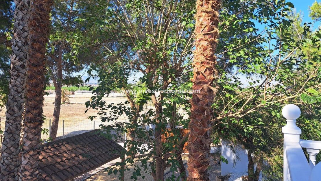 Reventa - Chalet - Orihuela Costa - Los Huertos