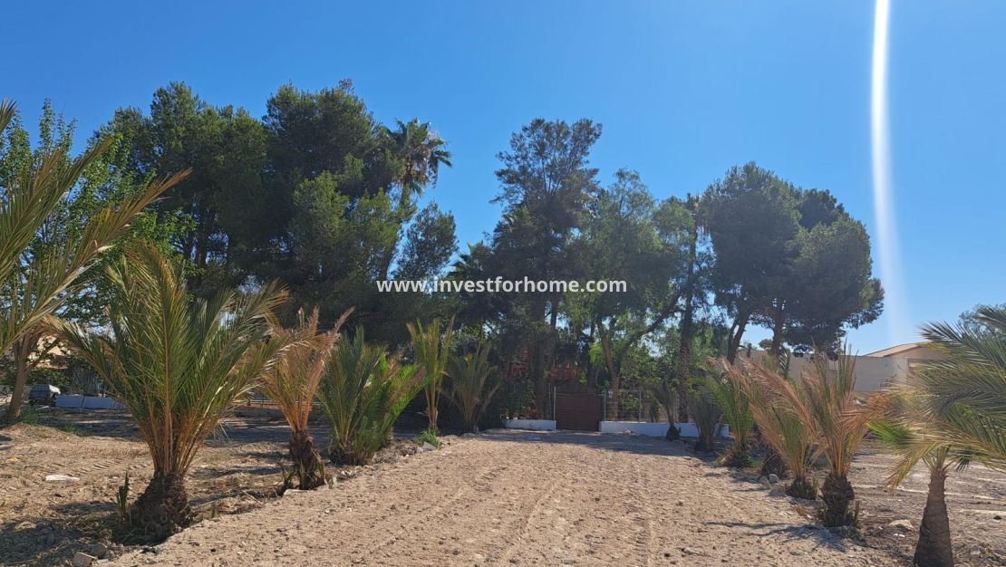 Reventa - Chalet - Orihuela Costa - Los Huertos