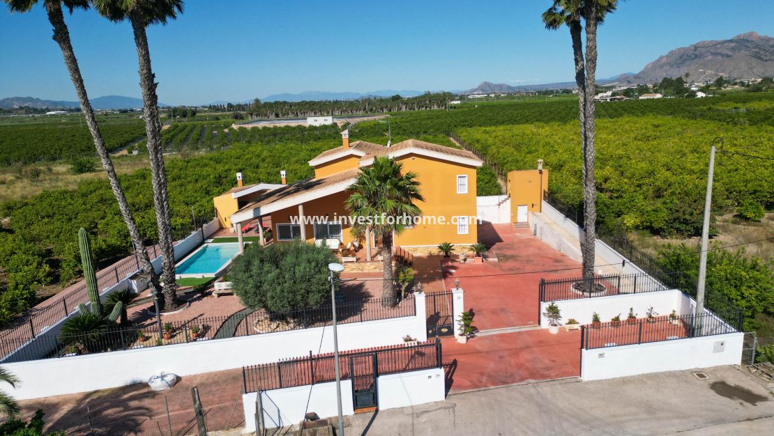 Reventa - Chalet - Orihuela Costa - Orihuela