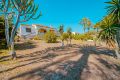 Reventa - Chalet - Orihuela Costa - Playa Flamenca