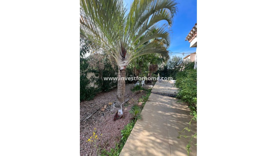 Reventa - Chalet - Orihuela Costa - Playa Flamenca