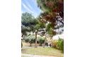 Reventa - Chalet - Orihuela Costa - Punta Prima