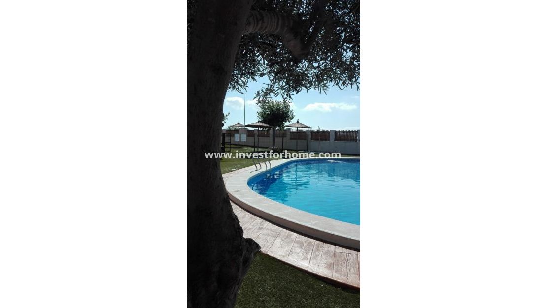 Reventa - Chalet - Rojales - Costa Blanca