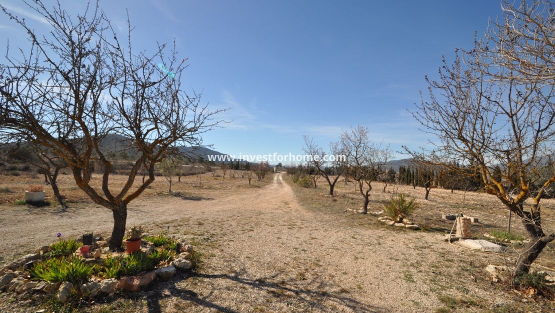 Reventa - Chalet - Salinas - Inland