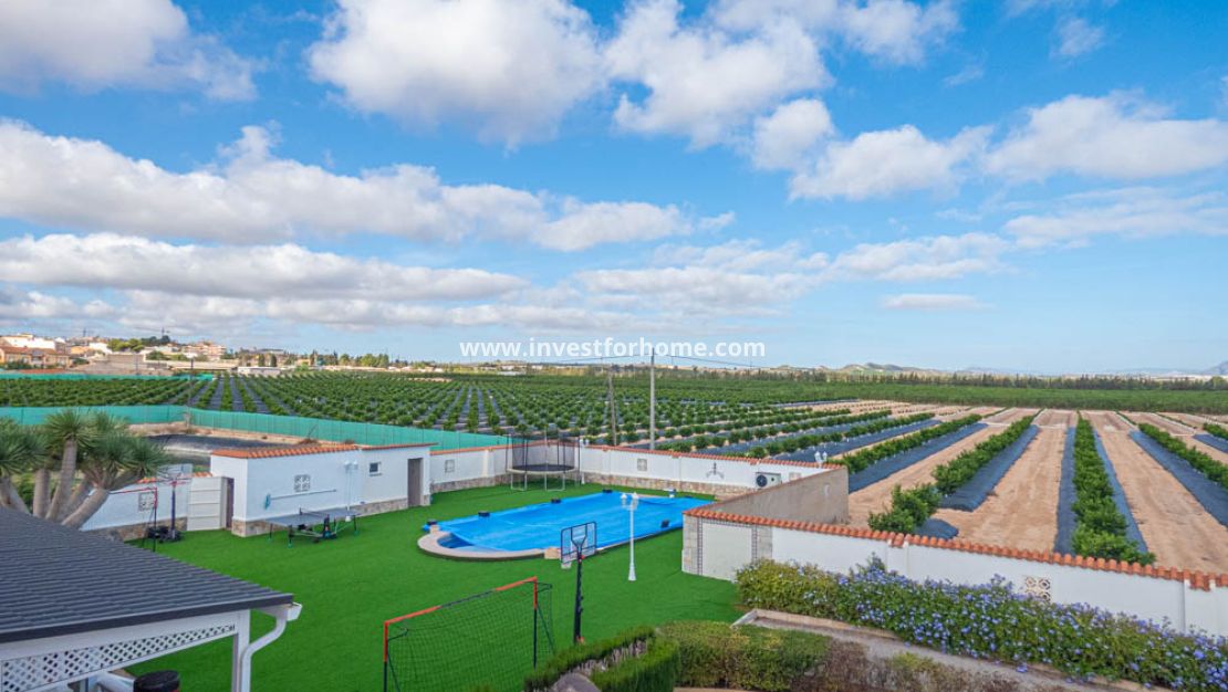 Reventa - Chalet - San Miguel de Salinas - Inland